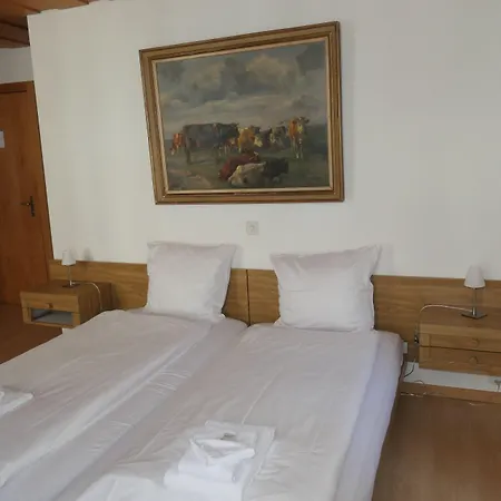 Franziskaner Hotel 3*